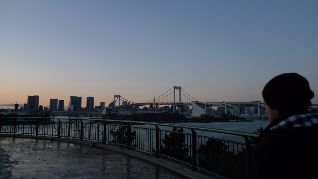 OdaibaviewCam