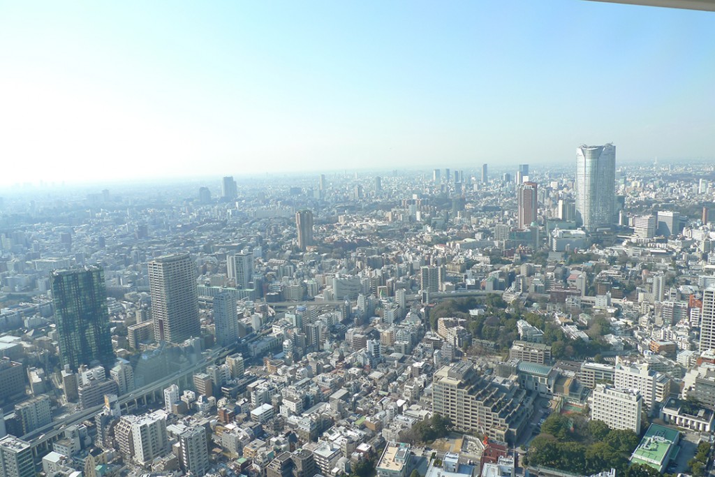 viewfromTtower7