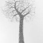 img-responsived