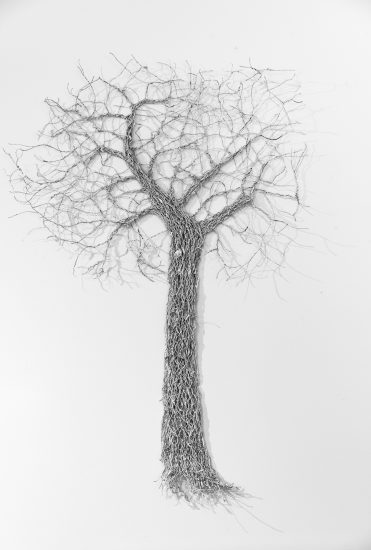 Tree of Knowledge