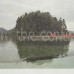 img-responsived