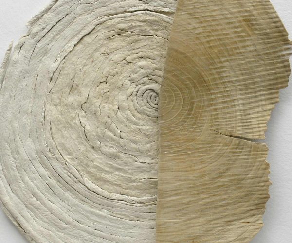 Paper Made Visible (Le papier rendu visible)