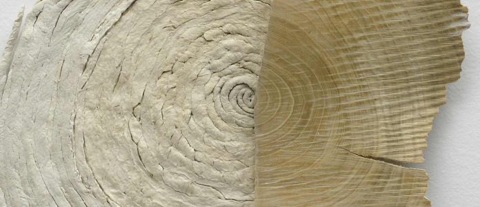 Paper Made Visible (Le papier rendu visible)