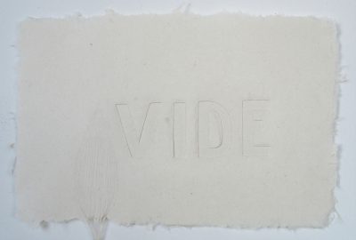 A-Vide 1