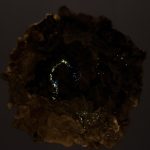 img-responsived
