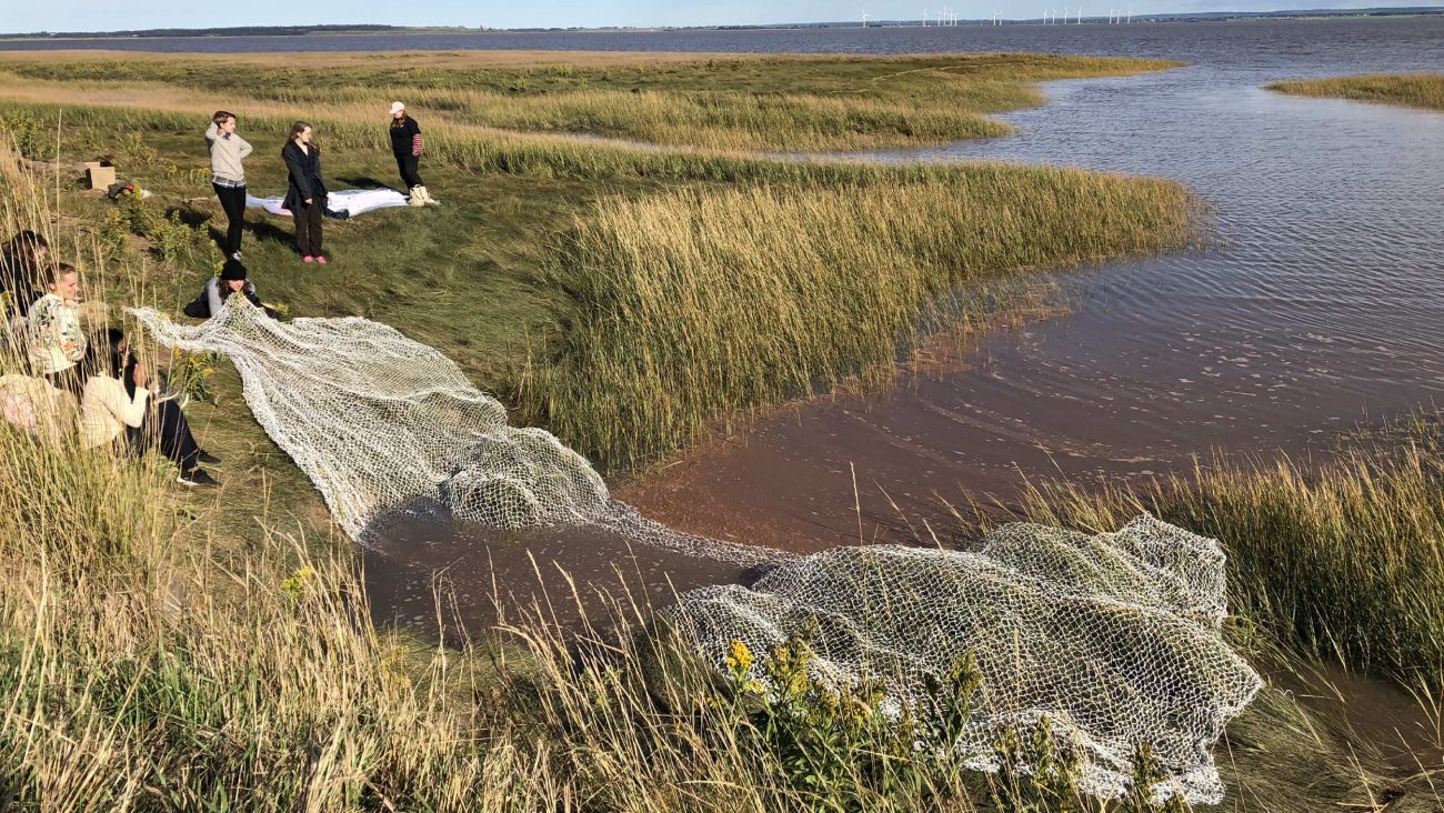 Net from "Nœuds d’écoute / Listening Knots" placed in the red-clay water of the Bay of Fundy, 2017