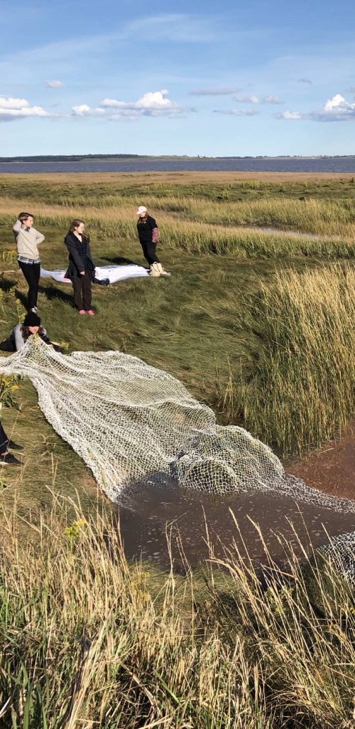 Net from "Nœuds d’écoute / Listening Knots" placed in the red-clay water of the Bay of Fundy, 2017