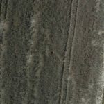 img-responsived