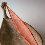 img-responsived