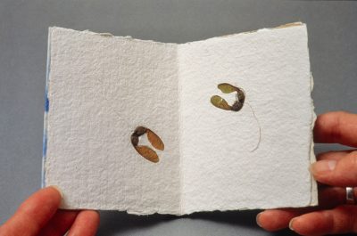 Lecture d’été