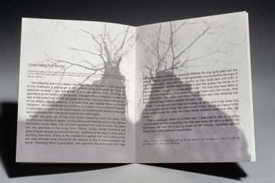 Tree Stories