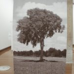 img-responsived