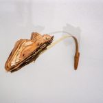img-responsived