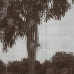img-responsived